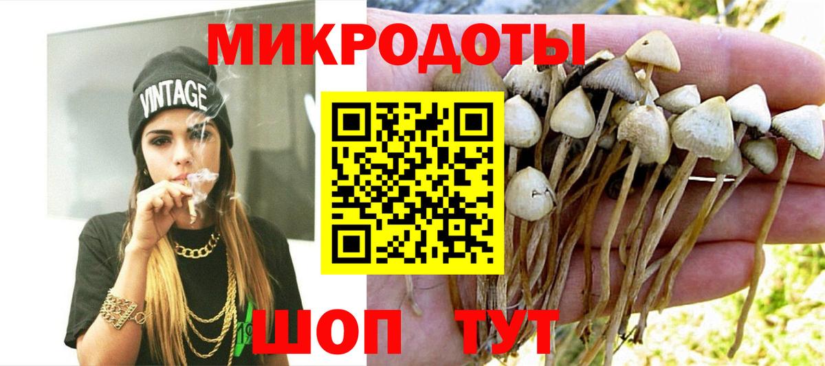 Галлюциногенные грибы Magic Shrooms  Вход с VPN  Назрань  Галлюциногенные грибы мицелий 
